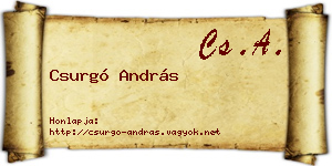 Csurgó András névjegykártya